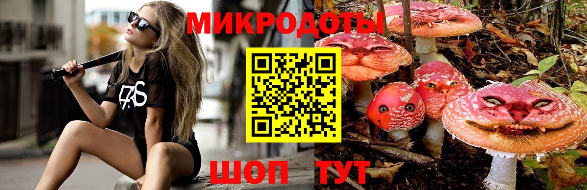 Галлюциногенные грибы Psilocybe Екатеринбург